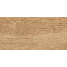 Керамогранит Global Tile Флорида / Florida GT220VG 30*60 бежевый